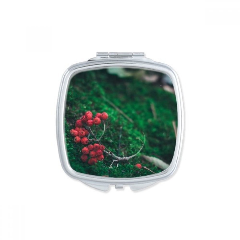 DIYthinker Flower Branch Nature Landscape Compact Makeup Pocket Mirror, Portable Cute Small Hand Mirror Gift, Multicolor