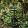 ABC Home XXL Bird Waterer on Pedestal, 81 cm, Patina Green, 50 cm view 2