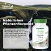 fairvital Quercetin 500mg Capsules, 90 Count, HIGH DOSAGE, VEGAN, Antioxidant view 2
