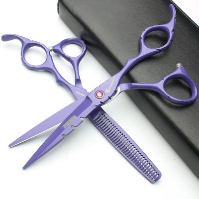 5-Color 6.0" Japan Professional Hair Cutting and Thinning Shears Set, Salon (Purple)