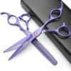 5-Color 6.0" Japan Professional Hair Cutting and Thinning Shears Set, Salon (Purple) view 1
