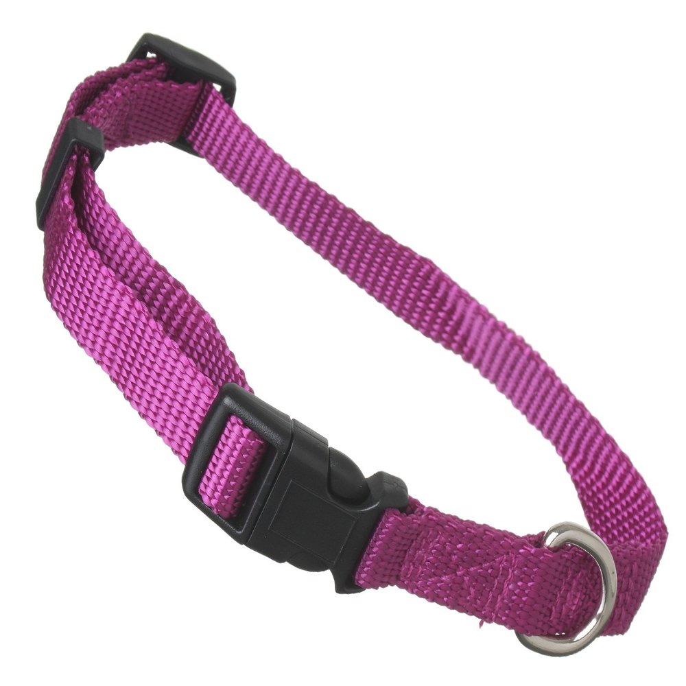 Scarlet Pet | Universal Dog Collar with Click Closure and Adjustable Length
