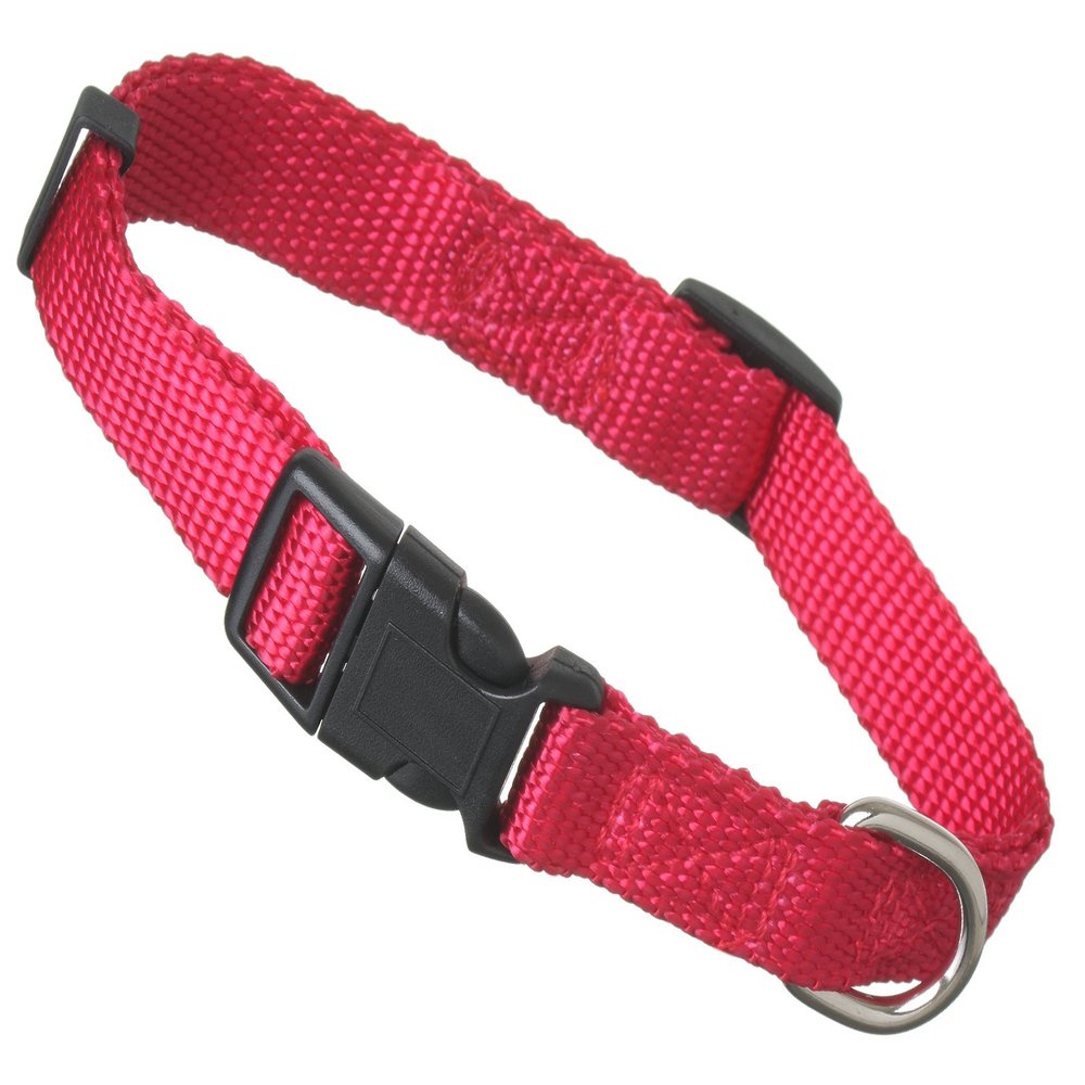 Scarlet Pet | Universal Dog Collar with Click Closure and Adjustable Length; Various Colors and Sizes; Durable Nylon (XS: 21-32 x 1 cm/Red)