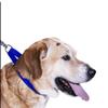 Scarlet Pet | Universal Dog Collar with Click Closure and Adjustable Length; Various Colors and Sizes; Durable Nylon (XS: 21-32 x 1 cm/Red) view 4