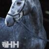 Rambo Micklem Competition Bridle, Black, Standard Horse/Full view 1