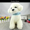 Newtensina Pet Collar Bling Puppy Collar for Girls - Blue - M view 2