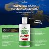 Aquarium Starter Bacteria - NatureHolic Bacter Liquid I 125ml view 2