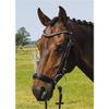 Hans Melzer Valluhn Bridle, Black/Silver, Hanoverian Noseband, Patent Leather, COB view 2