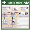 Shngen First Aid Instructions Poster, Plastic, A2, DGUV 204-002 view 1