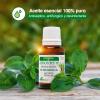 Soria Natural Tea Tree Oil – Powerful Natural Antiseptic, Helps Improve Skin Health, Acne, Fungi, Itching – 100% Pure Essential Oil – 15 ml Bottle view 2