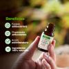 Soria Natural Tea Tree Oil – Powerful Natural Antiseptic, Helps Improve Skin Health, Acne, Fungi, Itching – 100% Pure Essential Oil – 15 ml Bottle view 4