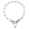 Sprenger Stainless Steel Dog Collar with Snap Hook and Pull-Limiting Chain, 3 mm, 54 cm view 2