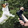 The Source Pet Snack Launcher view 2