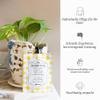 Davines Tcc The Spotlight Circle 50 ml view 4