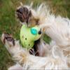 Petface Latex Pear Dog Toy, Large view 2
