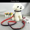 Newtensina Fashion Denim Dog Collar and Leash Set, Red, S view 2