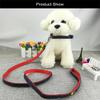 Newtensina Fashion Denim Dog Collar and Leash Set, Red, S view 3