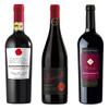 The Wine Guys Appassimento Tasting Pack (3 x 0.75 L) view 1