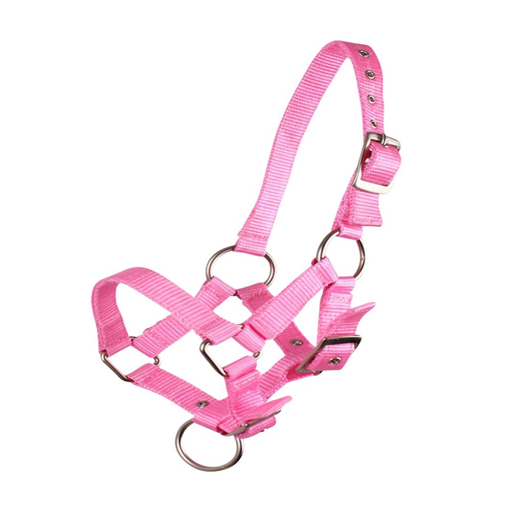 QHP Foal Halter, Adjustable Nylon, 4 Sizes, 6 Colors