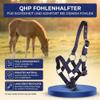 QHP Foal Halter, Adjustable Nylon, 4 Sizes, 6 Colors view 3
