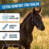 QHP Foal Halter, Adjustable Nylon, 4 Sizes, 6 Colors view 4