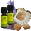 Mountain Pine Essential Oil, 2 x 10 ml – 7-Piece Aromatherapy Set view 1