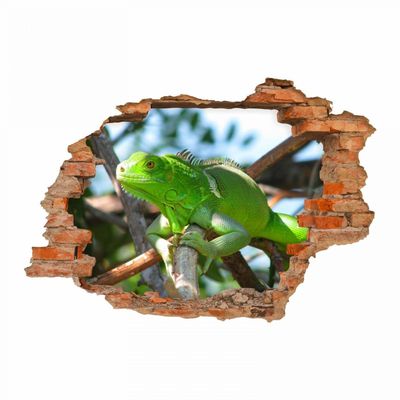 nikima 093 Chameleon on Branch Wall Decal – Wall Hole