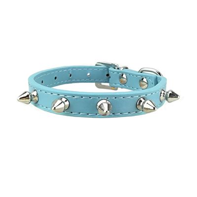 Newtensina Fashion Dog Collar with Studs