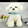 Newtensina Fashion Dog Collar with Bone Bling view 2