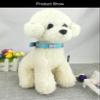 Newtensina Fashion Dog Collar with Bone Bling view 3