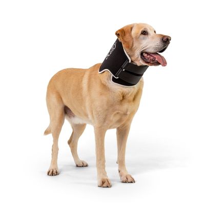 Balto Neck Eco E-Collar Alternative, Dog Recovery Collar, Padded Dog Cone, Before/After Surgery, Protects Wounds and Rashes, Body Protection Only (Large)