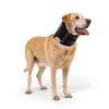 Balto Neck Eco E-Collar Alternative, Dog Recovery Collar, Padded Dog Cone, Before/After Surgery, Protects Wounds and Rashes, Body Protection Only (Large) view 1