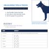 Balto Neck Eco E-Collar Alternative, Dog Recovery Collar, Padded Dog Cone, Before/After Surgery, Protects Wounds and Rashes, Body Protection Only (Large) view 3
