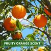 Kitama Orange Massage Oil 250 ml – Authentic Thai Aroma Oil, Made in Germany view 3