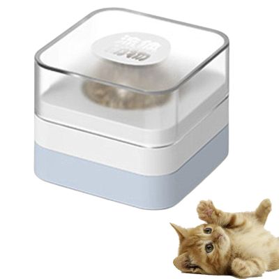 Catnip Wall Ball