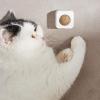 Catnip Wall Ball view 2