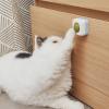 Catnip Wall Ball view 3