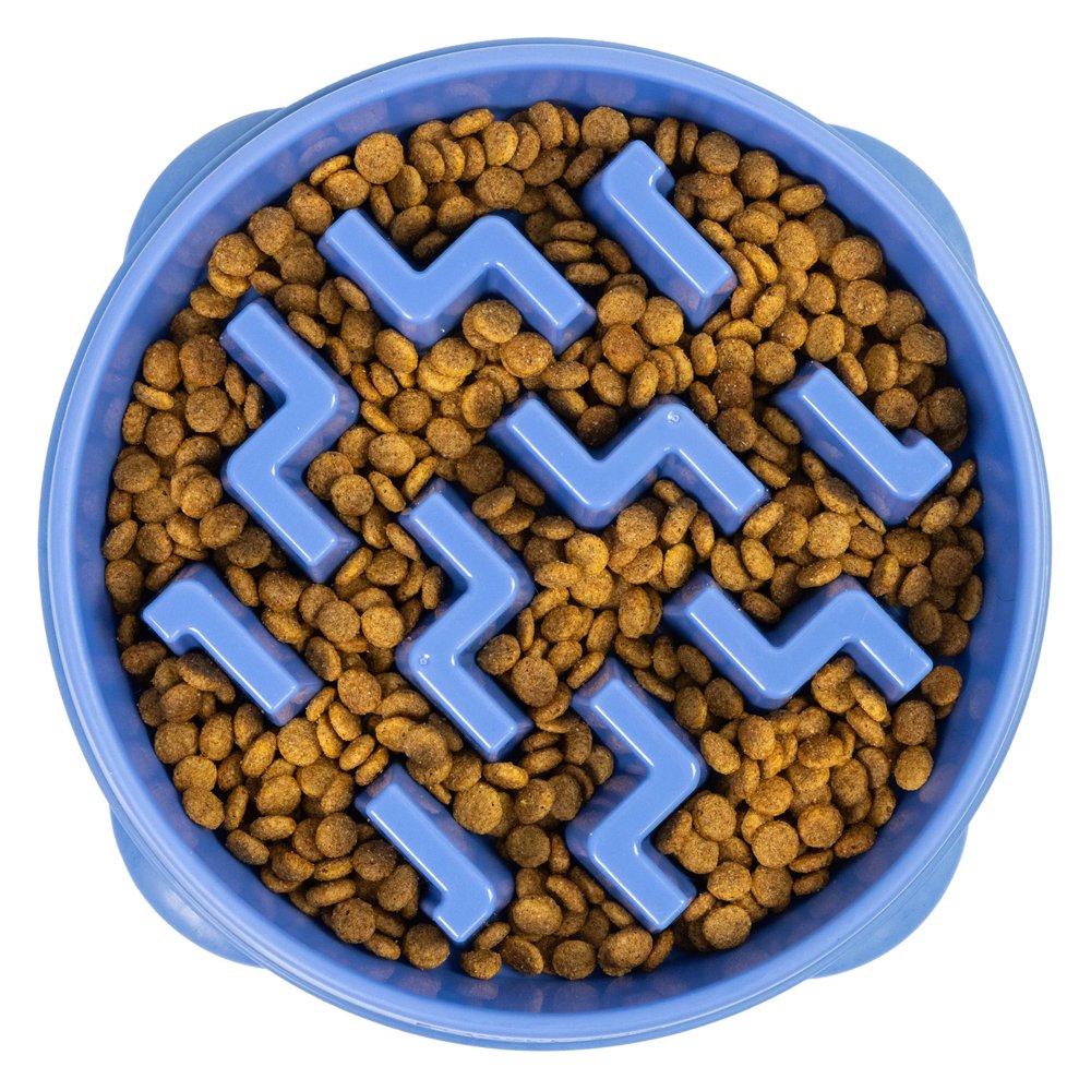 Outward Hound Large Slow Feeder Dog Bowl, Blue