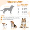 PETTOM Adjustable Nylon Dog Collar (Orange XS) view 2