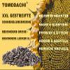 Tomodachi XXL Striped Sunflower Seeds with Shell for Chickens, 1 kg Bucket view 2