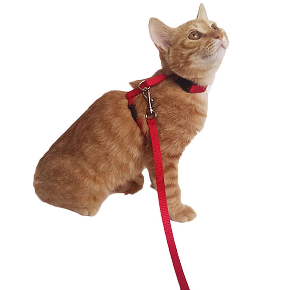 Brussels08 Adjustable Nylon Harness with Leash for Dogs and Cats