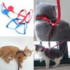 Brussels08 Adjustable Nylon Harness with Leash for Dogs and Cats view 4