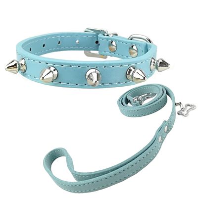 Newtensina Punk Studded Dog Collar and Leash Set