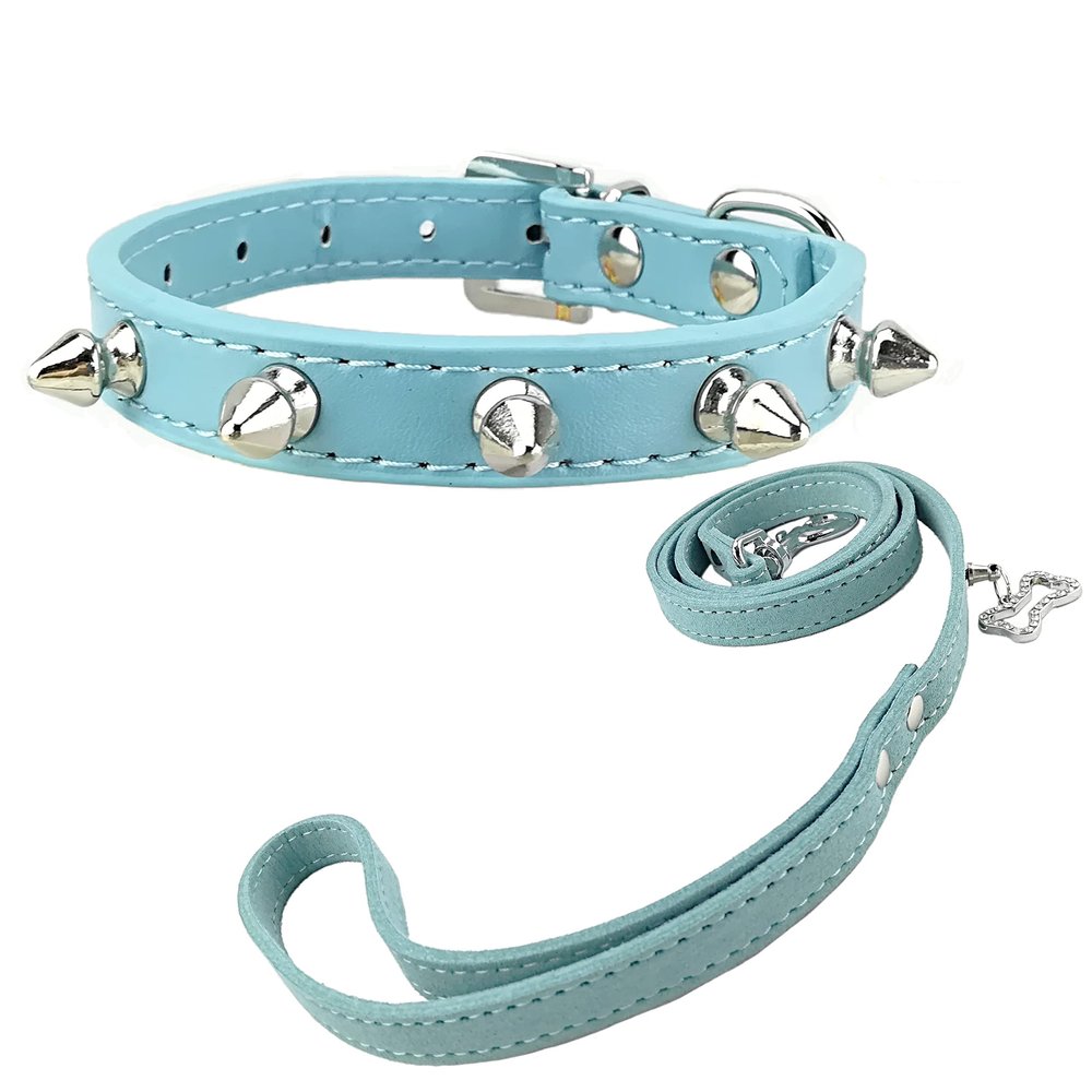 Newtensina Punk Studded Dog Collar and Leash Set