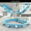Newtensina Punk Studded Dog Collar and Leash Set view 4
