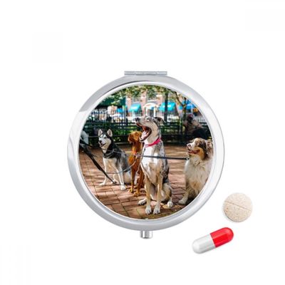 DIYthinker Travel Pill Case with Mirror
