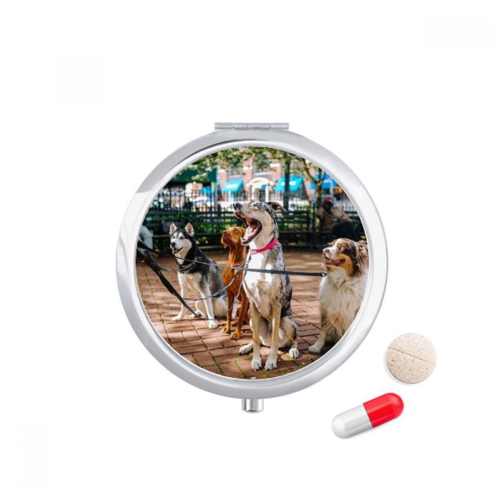 DIYthinker Travel Pill Case with Mirror