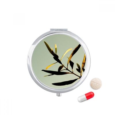 DIYthinker Travel Pill Case with Mirror
