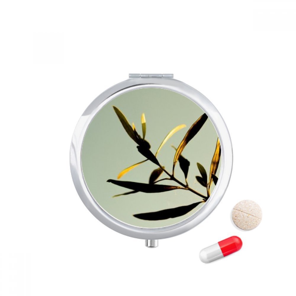 DIYthinker Travel Pill Case with Mirror