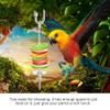Stainless Steel Parrot Food Holder view 4